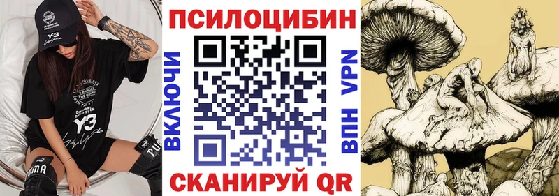 Псилоцибиновые грибы прущие грибы  купить наркотик  Краснослободск 